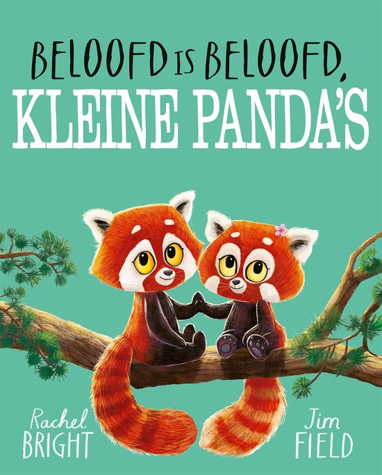 Gottmer // Beloofd is beloofd, kleine panda's